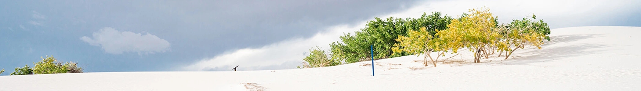 białe piaski - wycieczkadousa.pl